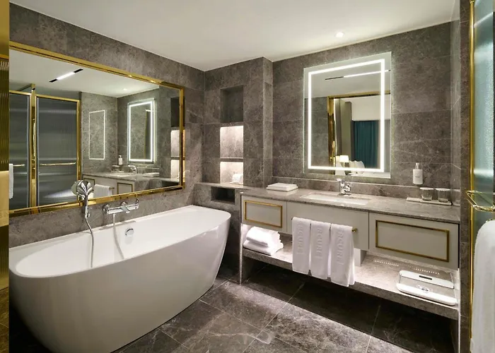 酒店 Grand Mercure Imperial Palace Gangnam 5*